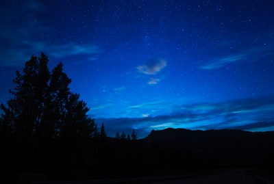 夜晚蓝天下树木的轮廓